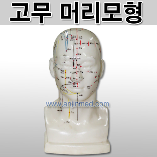 머리모형(고무) [중국생산] (a0330)